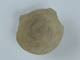FileNo.133-135.jpg