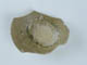 FileNo.133-144.jpg