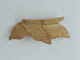 FileNo.133-164.jpg