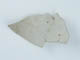FileNo.133-171.jpg