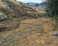 FileNo.135-002.jpg