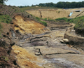FileNo.135-003.jpg