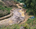 FileNo.135-004.jpg