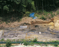 FileNo.135-005.jpg