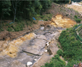 FileNo.135-006.jpg