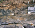FileNo.135-007.jpg