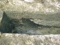 FileNo.135-008.jpg