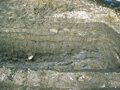 FileNo.135-009.jpg