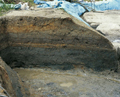 FileNo.135-010.jpg