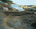 FileNo.135-013.jpg