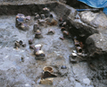 FileNo.135-014.jpg