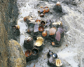 FileNo.135-017.jpg
