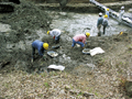 FileNo.135-026.jpg