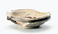 FileNo.135-150.jpg