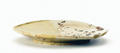 FileNo.135-163.jpg