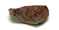 FileNo.135-164.jpg