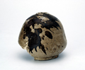 FileNo.135-206.jpg