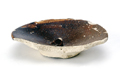 FileNo.135-241.jpg