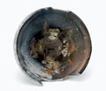 FileNo.135-249.jpg