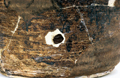 FileNo.135-266.jpg