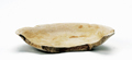 FileNo.135-278.jpg