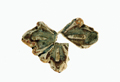 FileNo.135-292.jpg