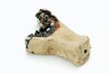 FileNo.135-296.jpg