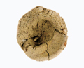 FileNo.135-305.jpg