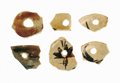 FileNo.135-311.jpg