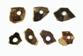 FileNo.135-313.jpg