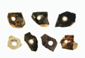 FileNo.135-314.jpg
