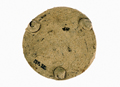 FileNo.135-322.jpg