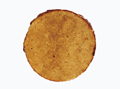 FileNo.135-329.jpg