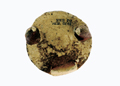 FileNo.135-330.jpg