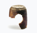 FileNo.135-337.jpg