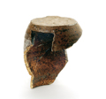 FileNo.135-339.jpg