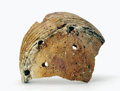 FileNo.135-346.jpg