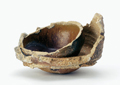 FileNo.135-350.jpg