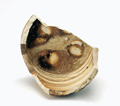 FileNo.135-364.jpg