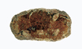 FileNo.135-371.jpg