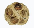 FileNo.135-372.jpg