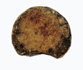 FileNo.135-378.jpg