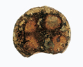 FileNo.135-379.jpg