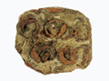 FileNo.135-381.jpg