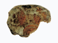 FileNo.135-382.jpg