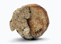 FileNo.135-386.jpg