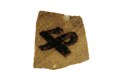 FileNo.135-401.jpg