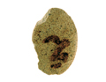 FileNo.135-411.jpg