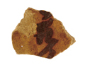 FileNo.135-442.jpg