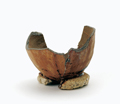 FileNo.135-518.jpg